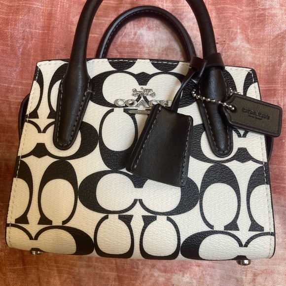 Coach Andrea Mini Carryall In Signature Canvas - Picture 6 of 6